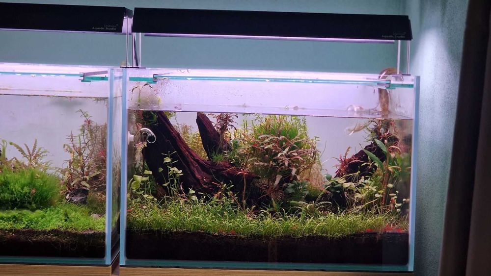 Аквариум Clear Vision - CO₂ система, Oase, Chihiros и шкаф – гаранция