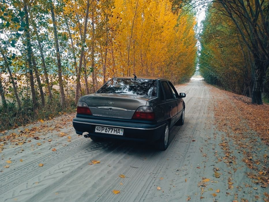 Нексия сонс трамбулор