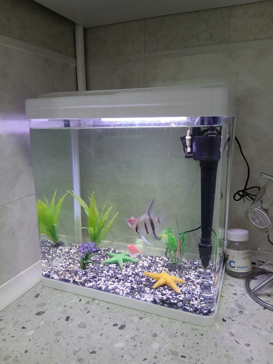 28 litrli akvarium sotiladi 
Жуда яхши ҳолатда. Барча жиҳозлари билан: