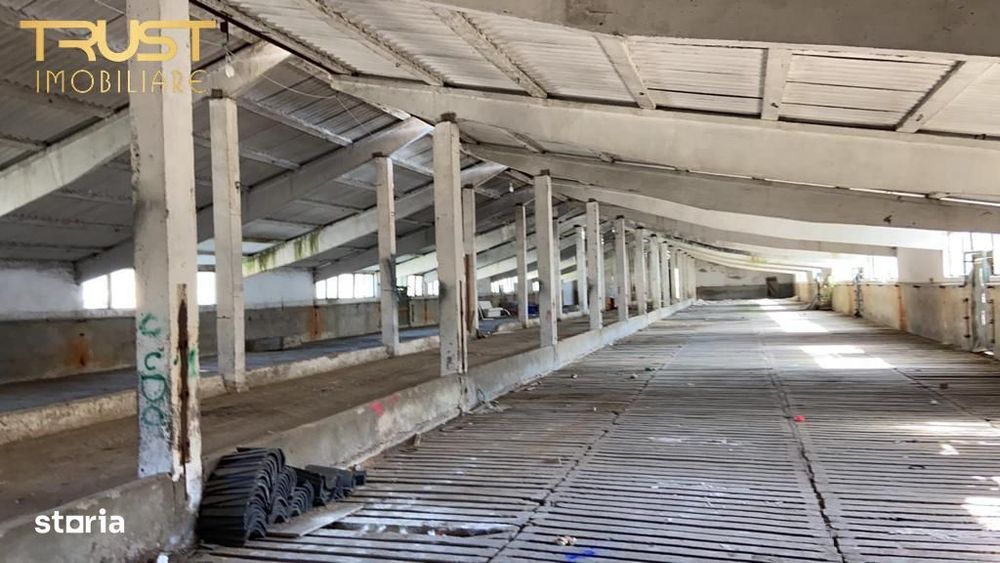 Hale spatii de depozitare, 200400 mp, Apahida