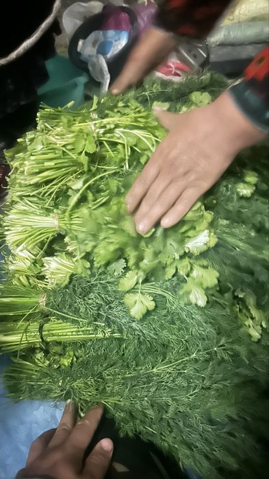 Kashnish Shibit optim narxga