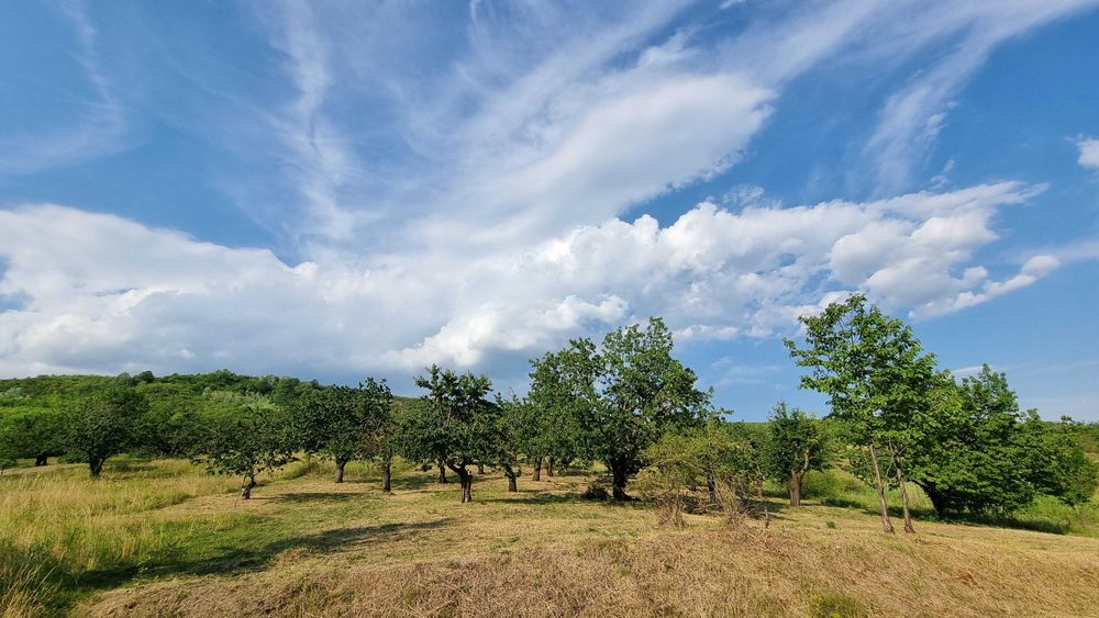 Vând Teren și Casă Viforâta, Târgoviște, Mănăstirea Dealu