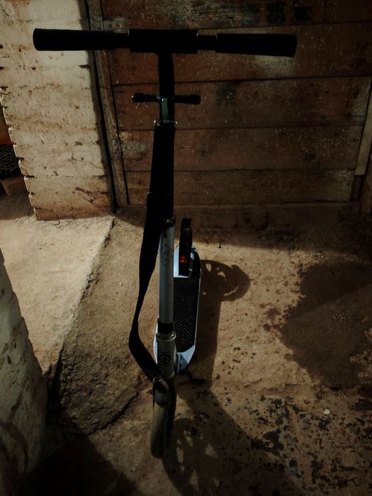 Trotinetă axelo (copii - adulți)