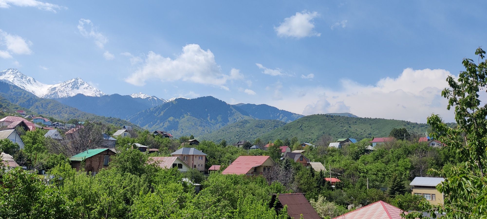 Сдам в аренду беседку