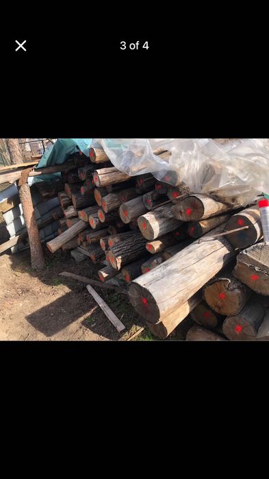 Stalpi gard stejar ,spalieri stejar