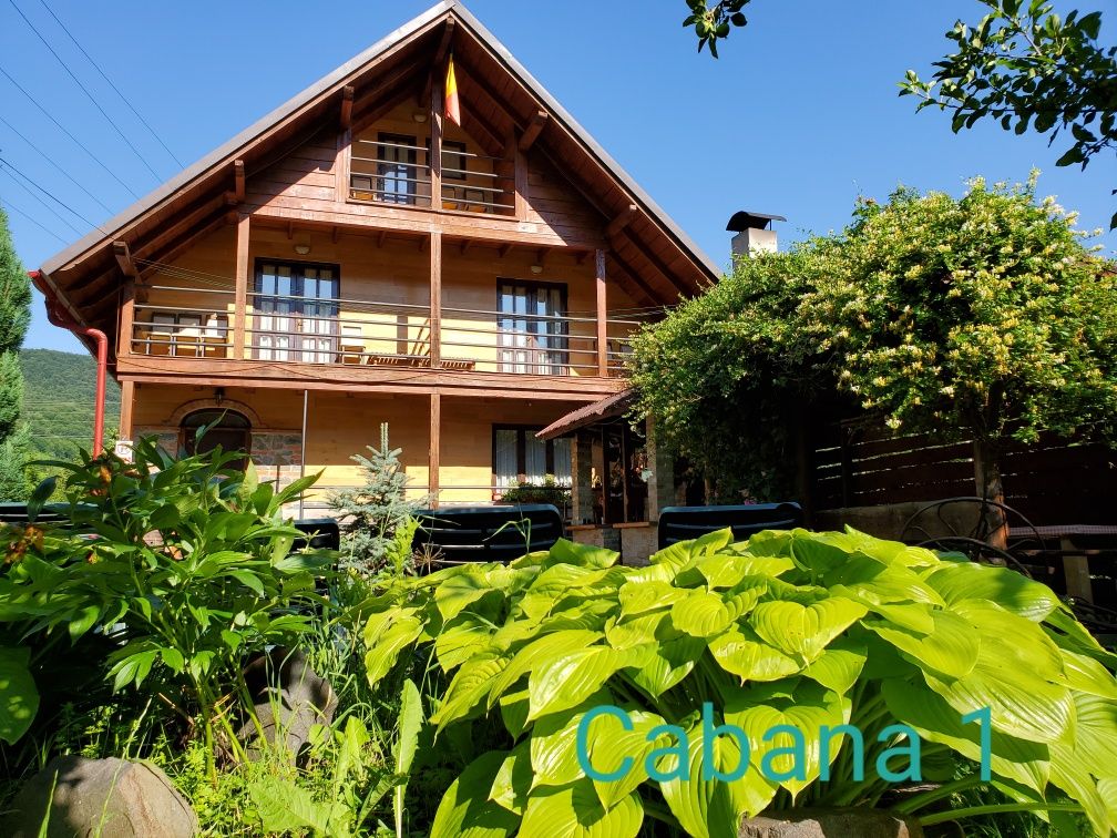 Cabane de inchiriat la Firiza, Maramures