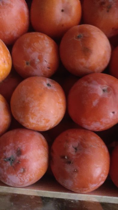 Xurmo sotiladi xar xil sortidan bor