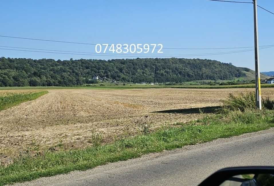 Teren de vanzare M Dragomirnei 488 ari pt INVESTITORI IMOBILIARI/HALE