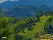 16.000 mp + imobil, splendoare si regasire in mijlocul naturii,