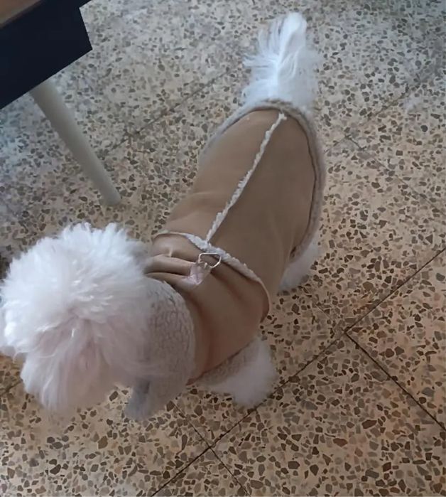 Комплект топъл елек и ботушки за кучета