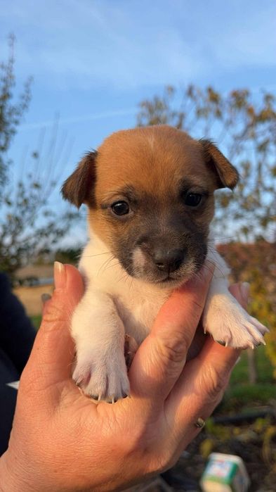 Джакчета момчета и момичета!