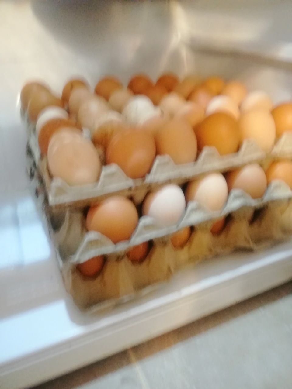 Ouă de găină proaspete 80 bani buc"