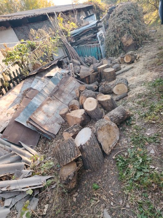 Продам ДРОВА клен