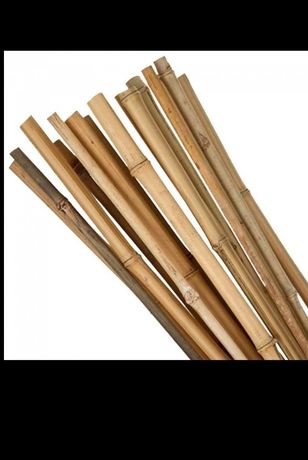 Araci /Tutori bambus 105 cm/10-12mm