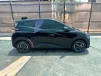 BYD  Seagull  Xitoy