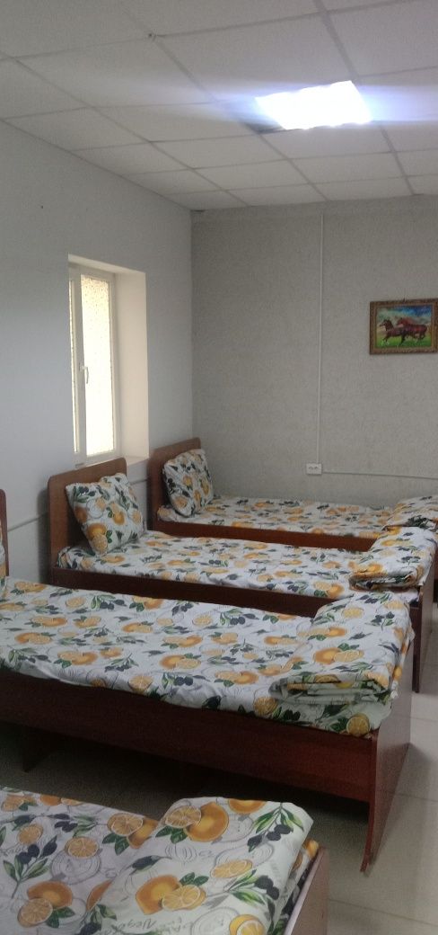 Eng arzon narhlarda Hostel Hotel Otel Mehmonhona Gastinitsa 34900 som