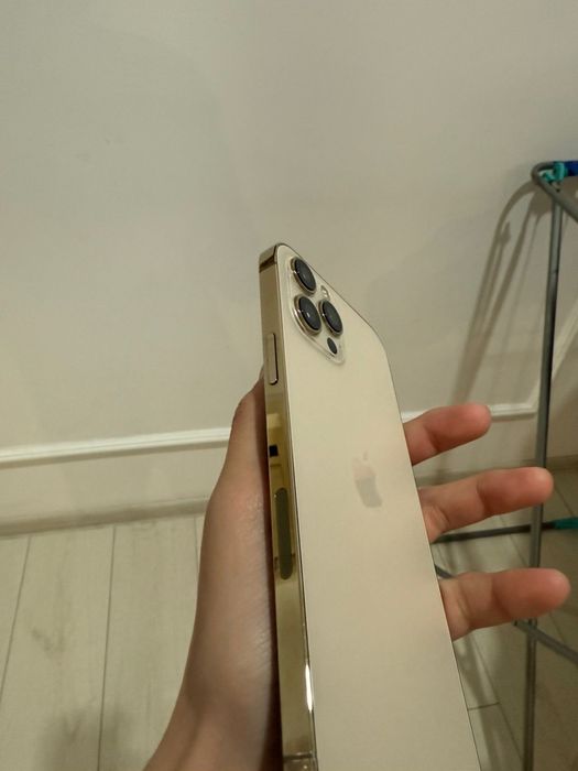 iPhone 12 Pro Max