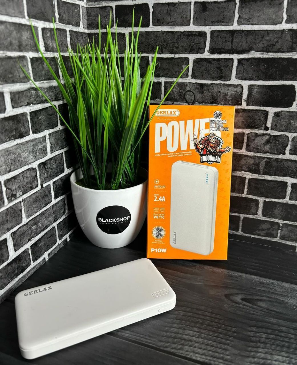 PowerBank 10000mah