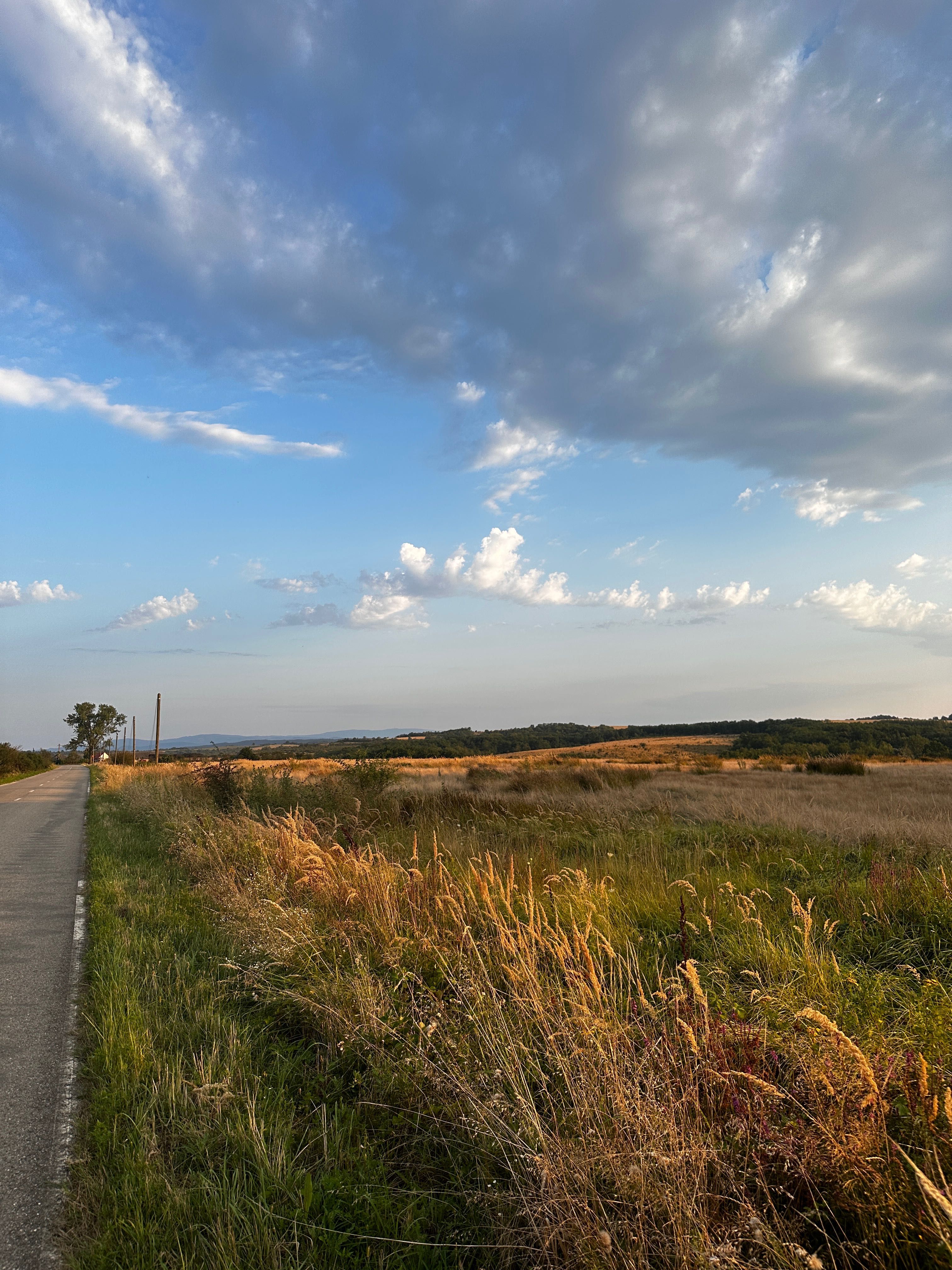 Vand 8 ha teren agricol la asfalt Stiuca (18km de Lugoj)