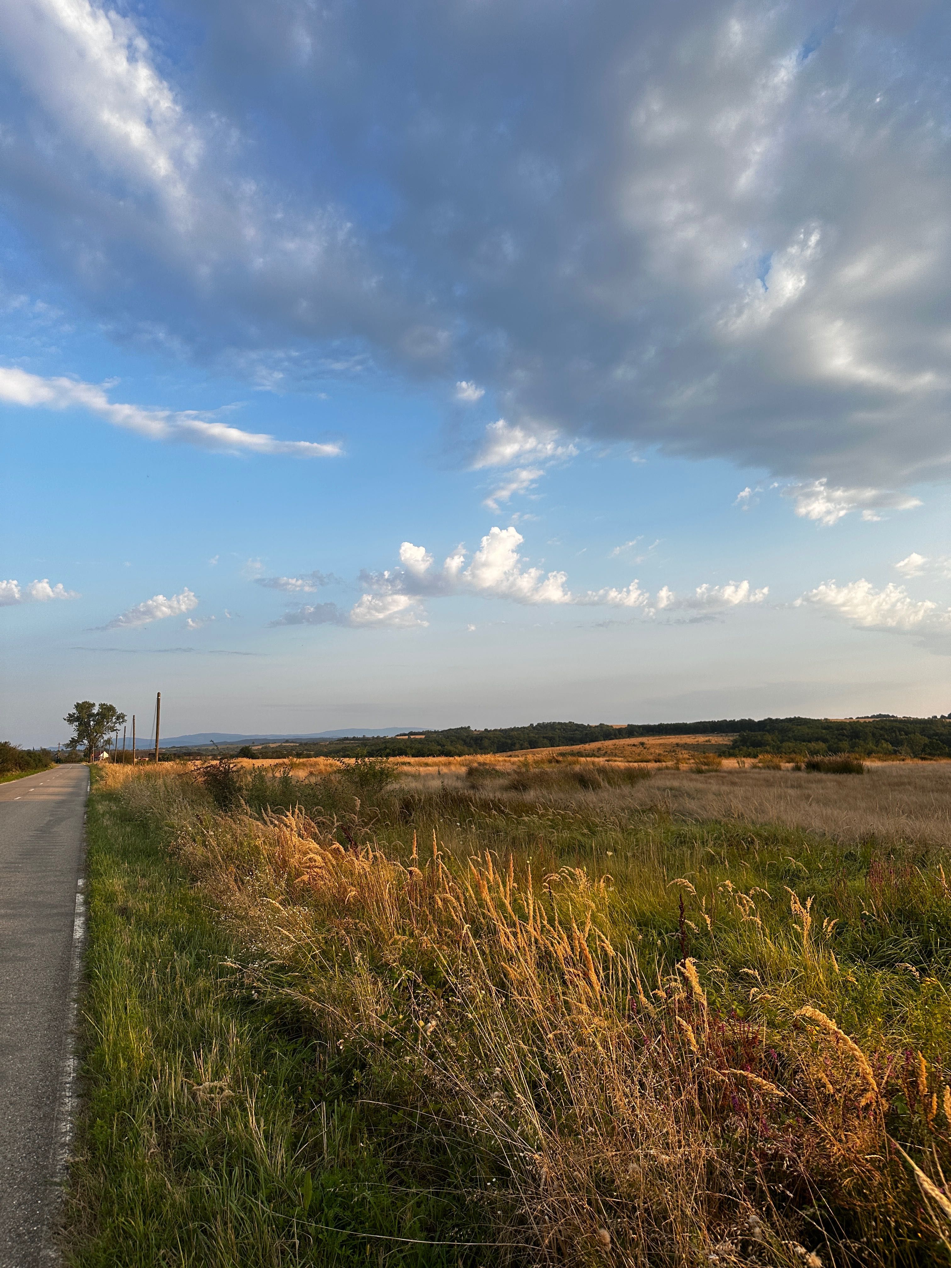 Vand 8 ha teren agricol la asfalt Stiuca(18km de Lugoj)