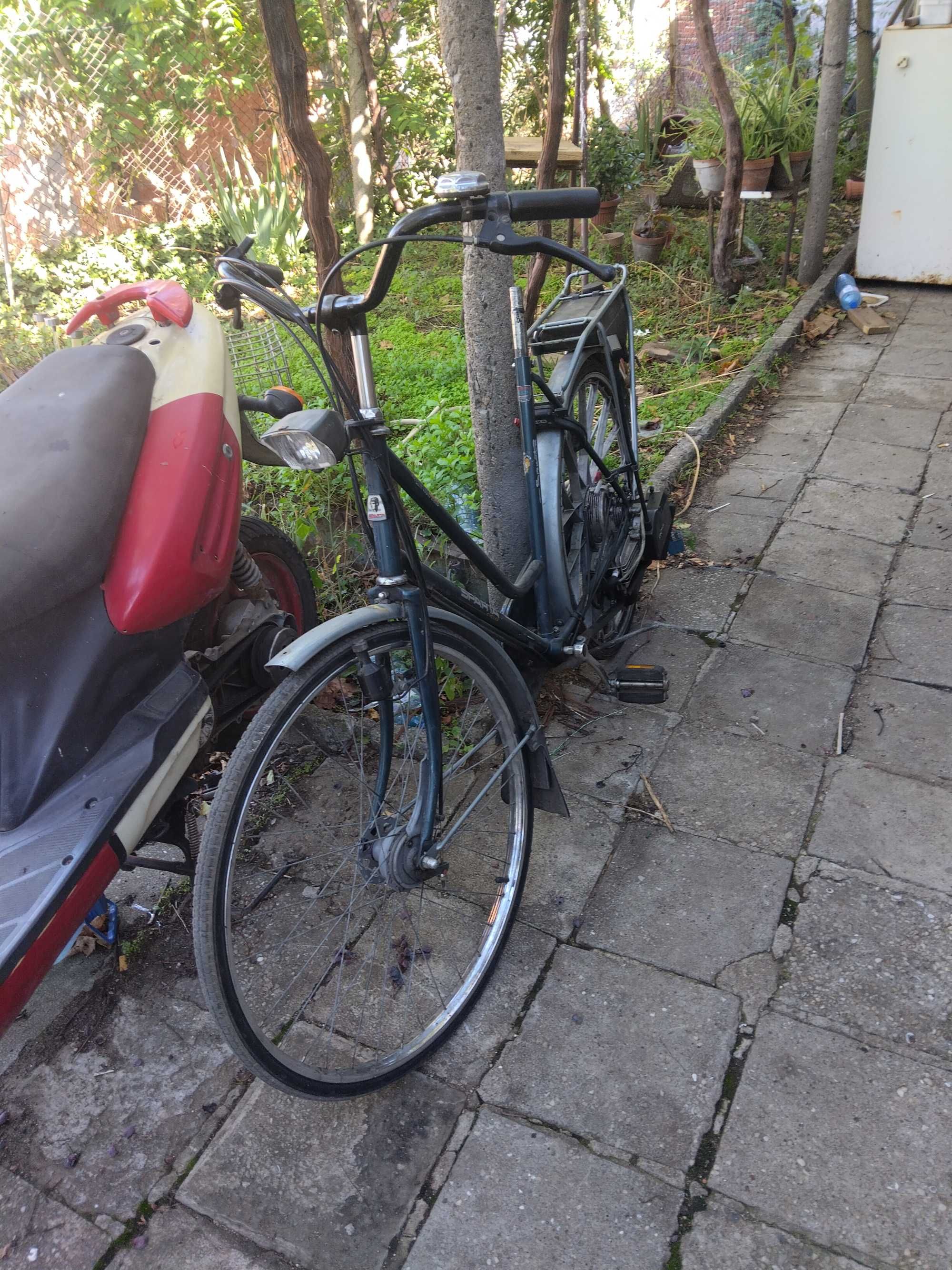 sachs sparta мотопед