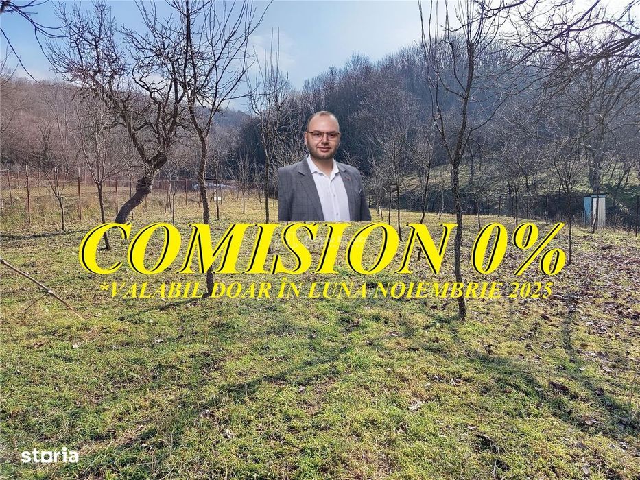 Ciclova, Teren Intravilan, Centru, Pret Negociabil