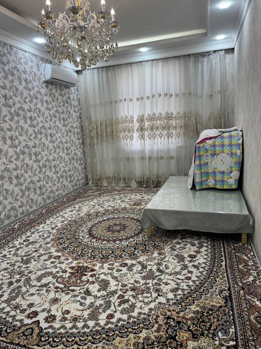 Qora qamish moyqoʻrgʻonda novostroyka sotiladi.