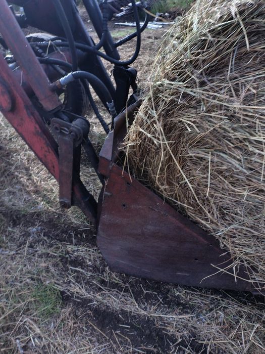 Сено свежее и прошлогоднее