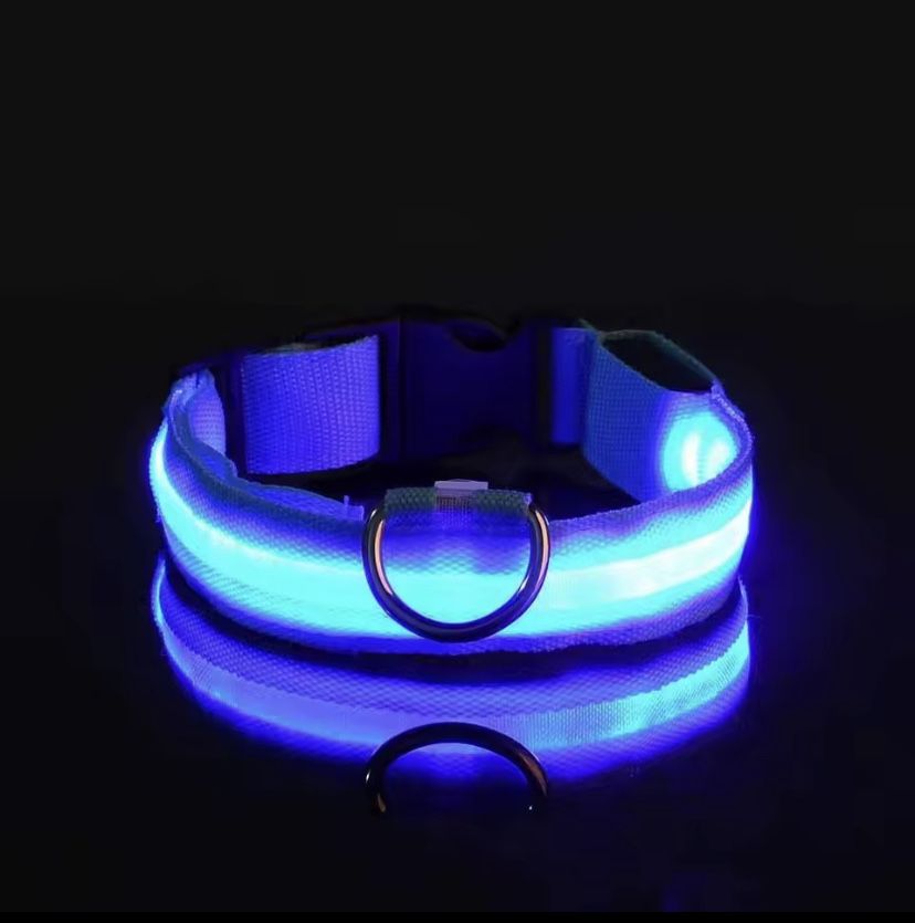 Zgardă luminoasă pentru cățeluși