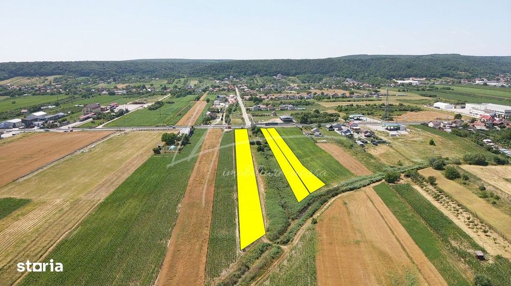 Teren cu potential de dezvoltare –7427 mp in Argeselu, Maracineni, j