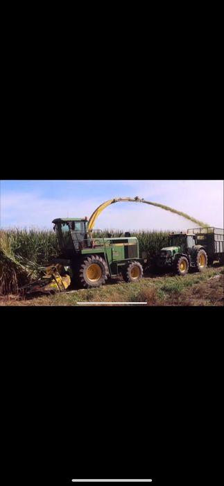 Tocare Porumb Siloz Tocatoare Siloziera