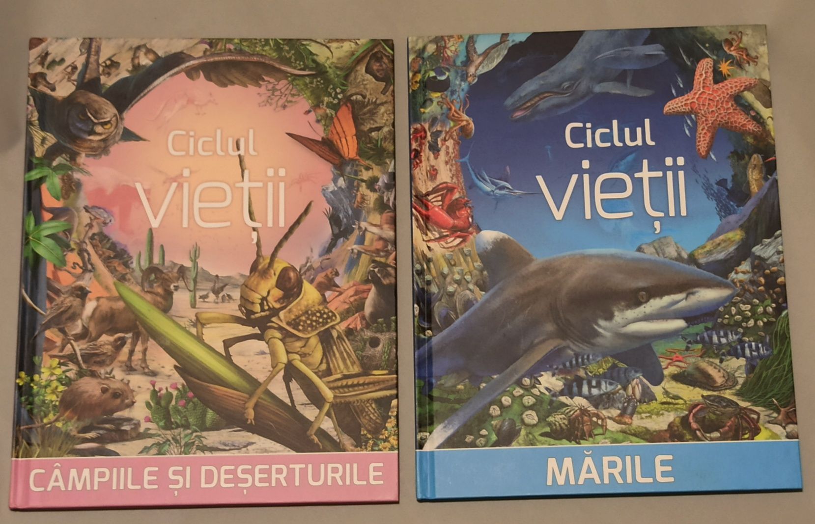 Ciclul vieții "Mările" și "Câmpiile și deșerturile"