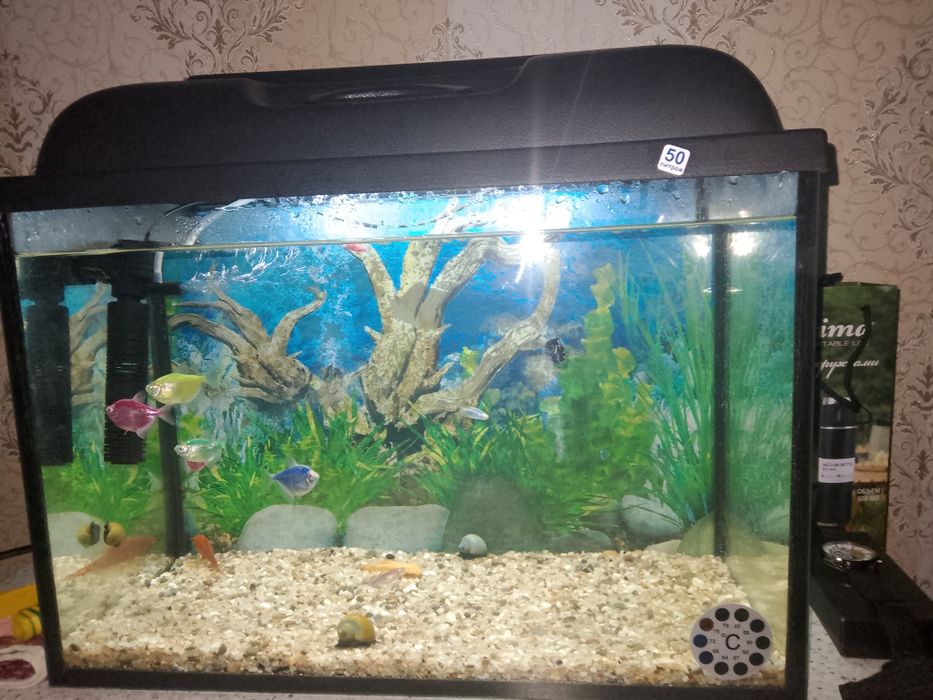 Продам Аквариум с рыбками.50л.