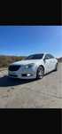 Vand Opel Insignia linie OPC