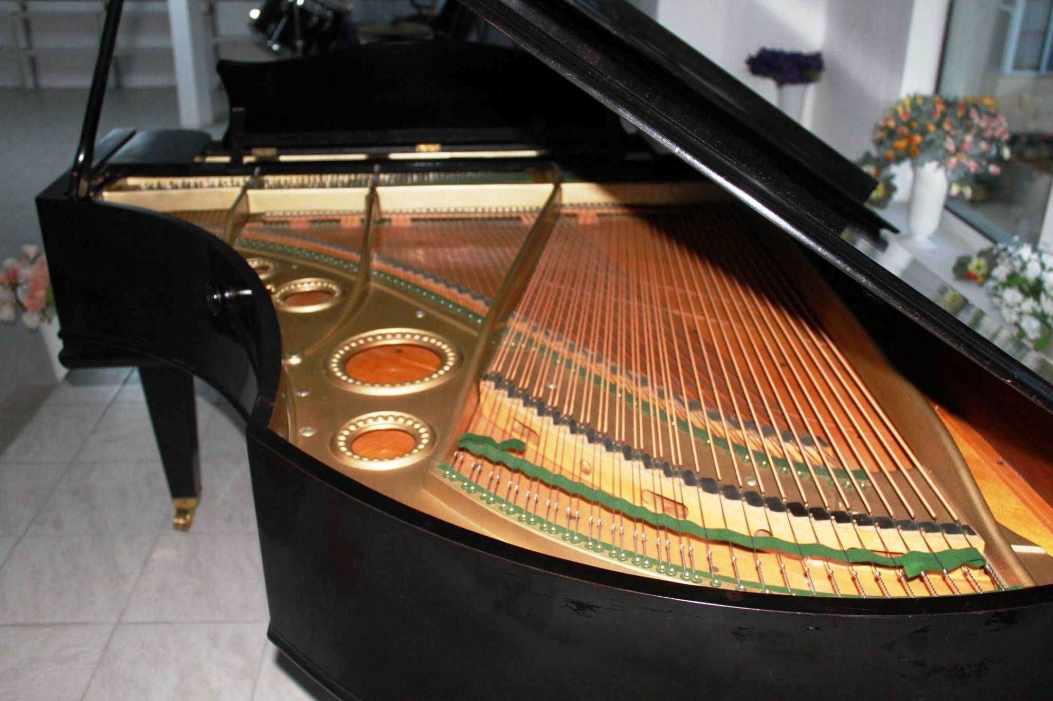 Pian de Concert - C. Bechstein B 203