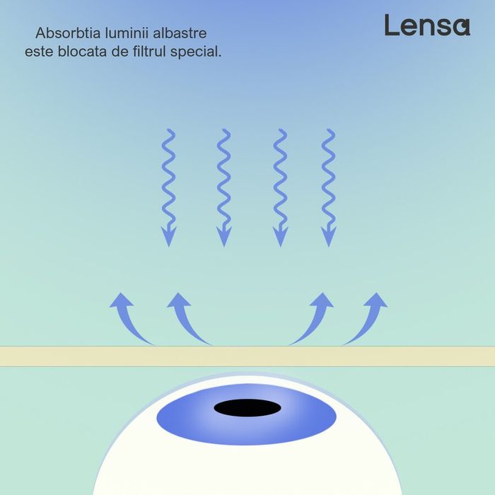 Ochelari protectie ecrane Polarizen WD1025-C6