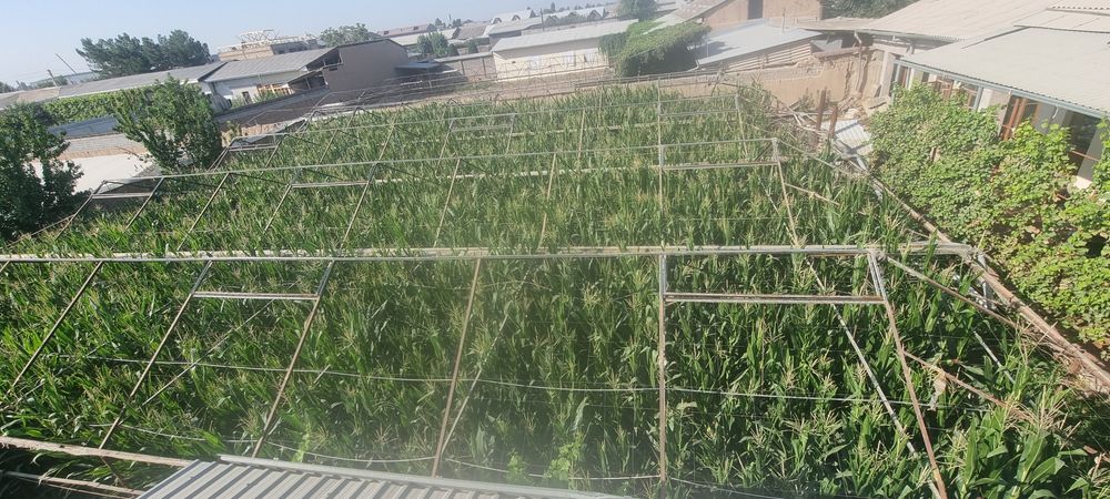 Teplitsa parnik sotiladi