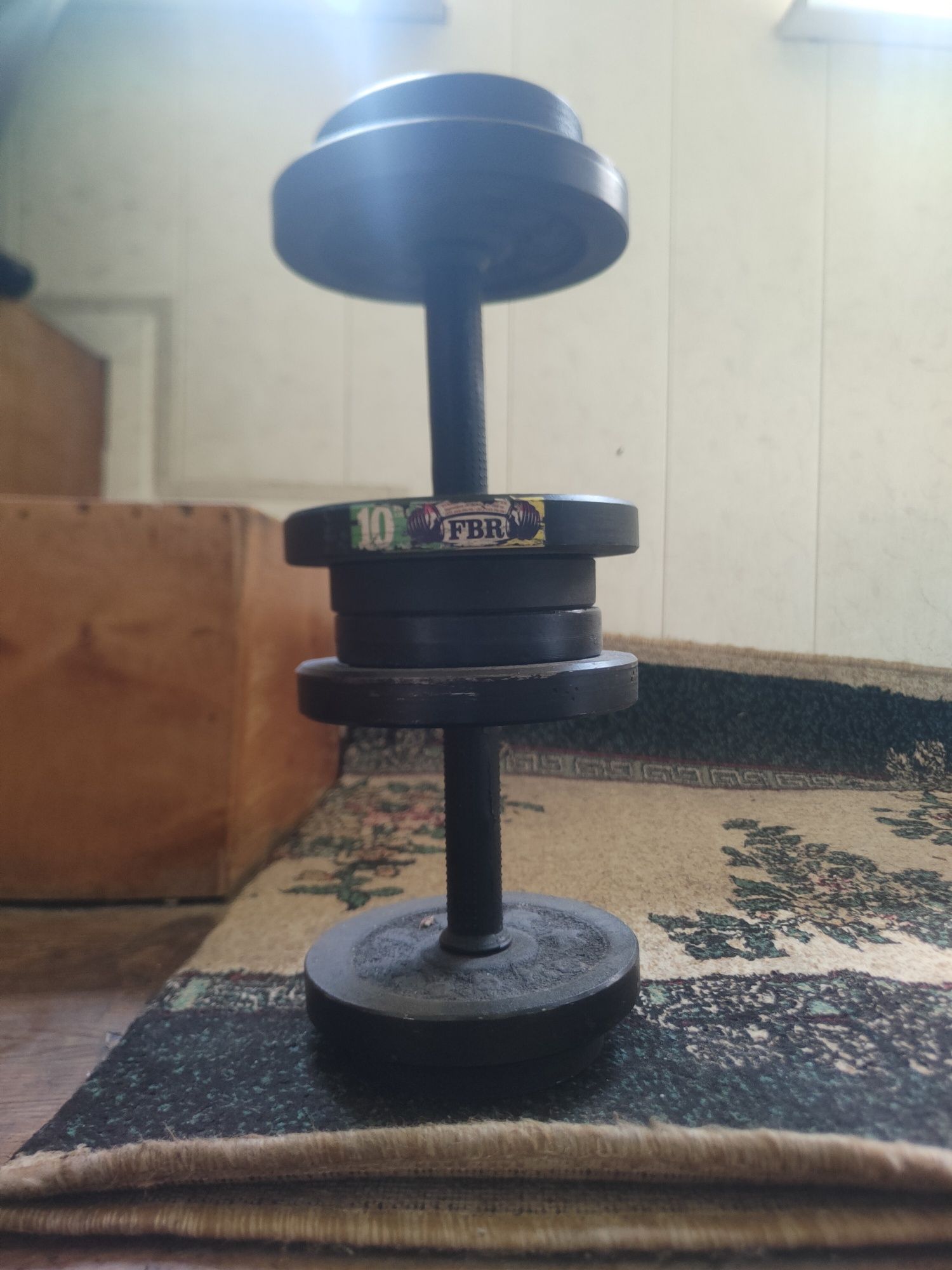 Gantel 10 kg 2 ta