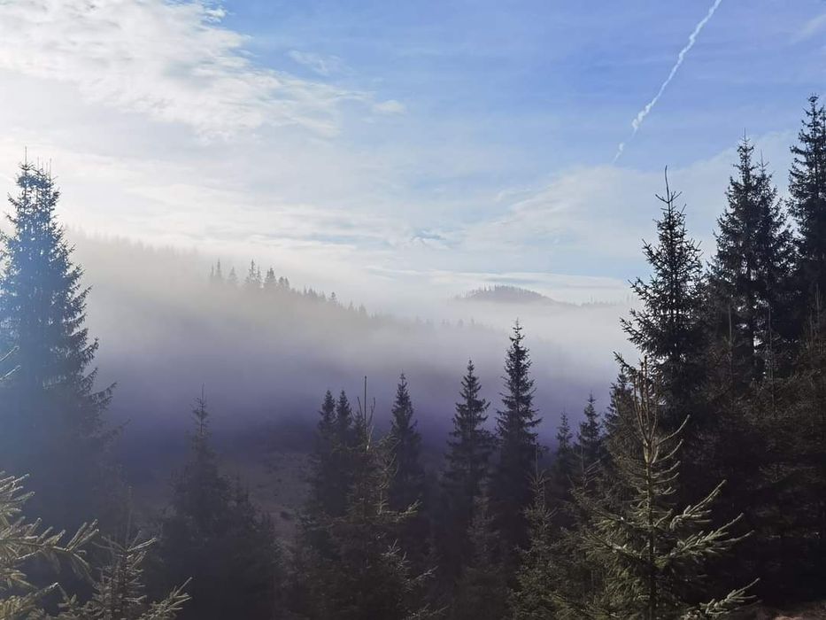 Teren intravilan 3ha, cu 2 cabane si panorama superba