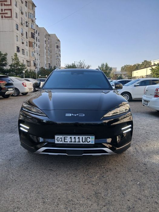 Byd song plus champion 2024