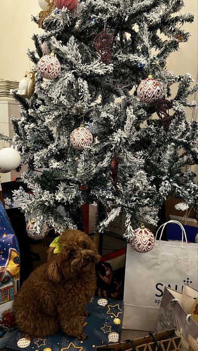 Елка новогодняя искусственная