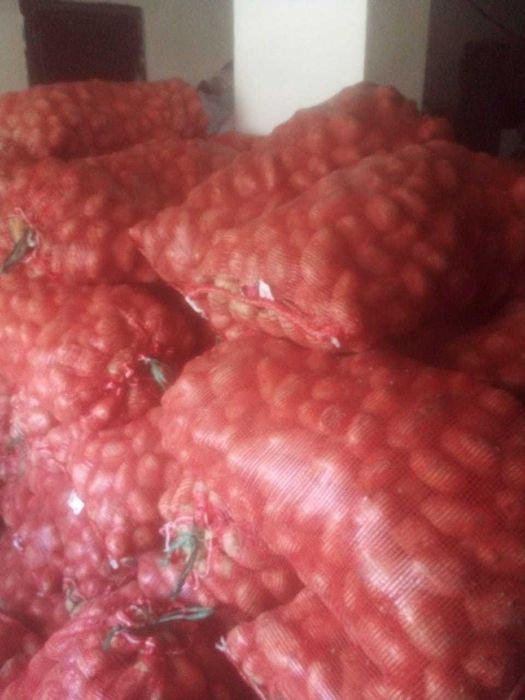 картошка петропавловская