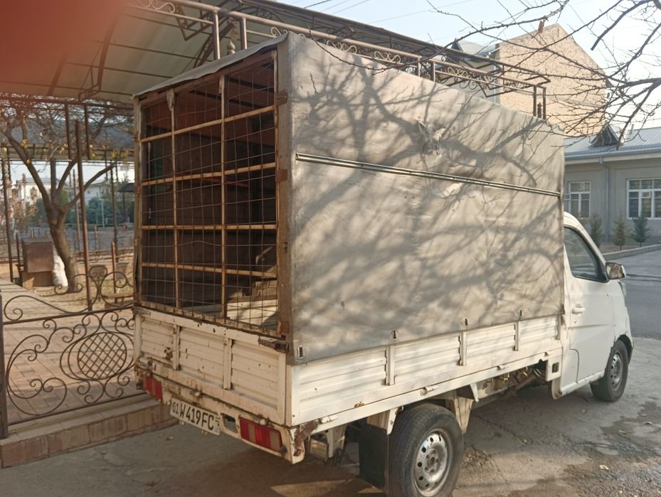 Чангам на Аренду сухой срочно.