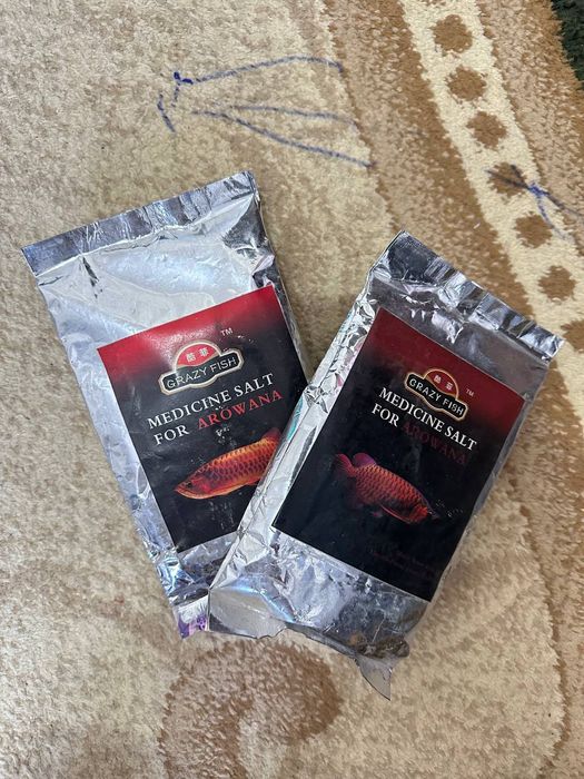 Готовый морской аквариум