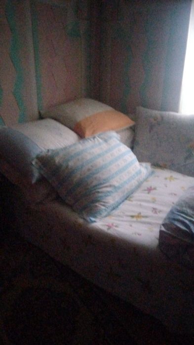 Am perie de vânzare de PN 50 RON