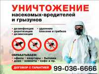 Дезинфекция в Ташкенте Уничтожение тараканов, клопов, мышей, запахов