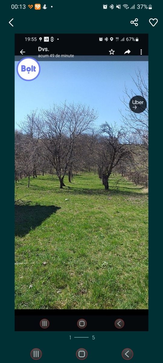 Ocazie,Teren de casa,vila,deal-munte,cu livada!Acte la zii Negociabil