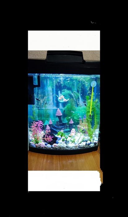 Аквариум 32л действующий