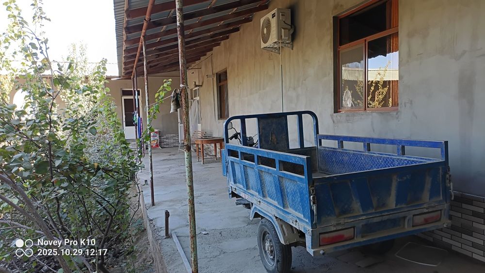 Лочин сотилади 2021