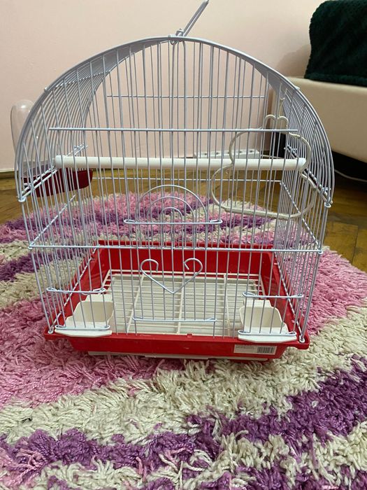 Vând Perus împreună cu colivie